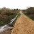 Gravel track in The New Forest Gravel track in The New Forest