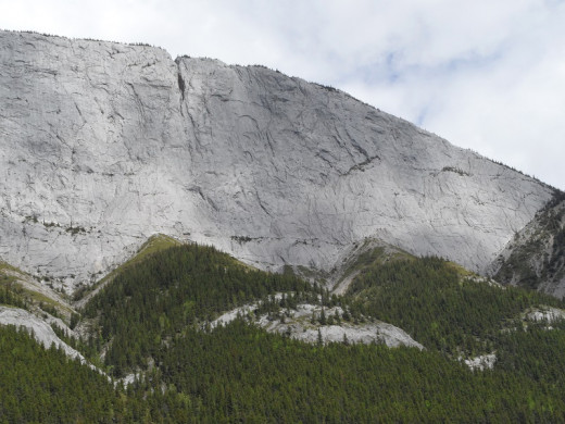 The vertical part of Ashlar Ridge. The rock at the top of the ridge is dated at 350 million years old.