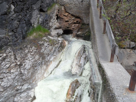 One of the original hot spring outlets tapped for the Miette Hot Springs pool. The temperature at the mouth is close to 53C or 129F. It smells heavily of sulphur but it tastes good.