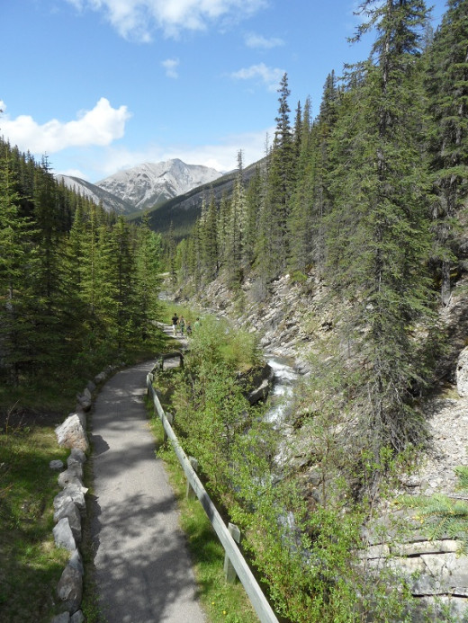 The trail down from the old ruins and the source of the hot springs back towards the parking lot and the new Miette Hot Springs. 1.5 kilometer walk on paved paths and boardwalk. An easy stroll.