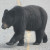 Don't Feed The Bears.... or any of the wild life you see on the road side. It just encourages them to be down on the highway and increases the chance of them getting hit in traffic Don't Feed The Bears.... or any of the wild life you see on the road side. It just encourages them to be down on the highway and increases the chance of them getting hit in traffic