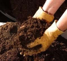 Finished Compost - Garden Gold!