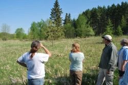 gazingat the second mound
