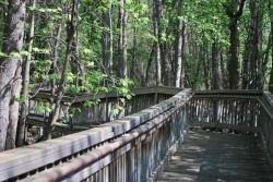 walkways to the river bank