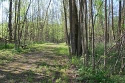 walking path, Grand Mound, Rainy River, Minnesota