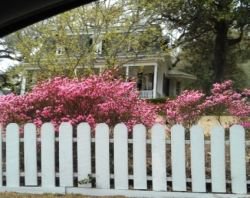 Photo mine.  The home where we began the season with a ladies' tea.