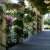 Flowers are everywhere. The Empress is surrounded by lush gardens, arbors and walkways. Flowers are everywhere. The Empress is surrounded by lush gardens, arbors and walkways.