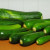 Bountiful zucchini gives so many gifts Bountiful zucchini gives so many gifts