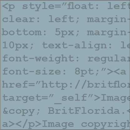 HTML