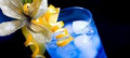 Delicious Alcoholic Blue Cocktail Drink Recipes for Occasions