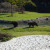 Grizzly Bears Photo by Sylvestermouse Grizzly Bears Photo by Sylvestermouse