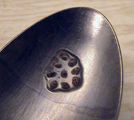 Gelled chia in a spoon. When exposed to water, their fibers make nutritious gel.