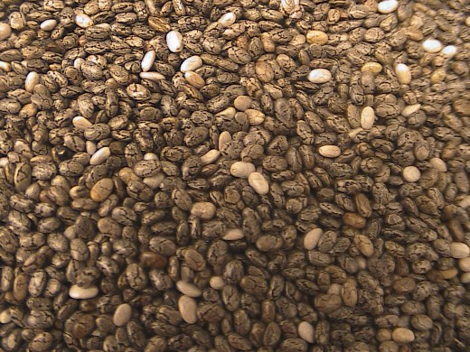 MySeeds has a mix of black & white seeds for complete nutrition.