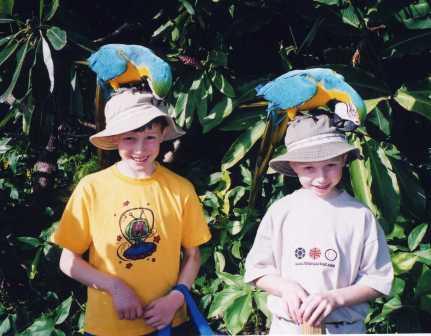 Pictures with Parrots