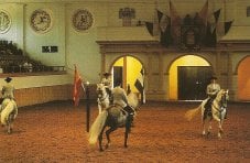 Weekly display at the Royal Andalusian School of Equestrian Art, Jerez de la Frontera