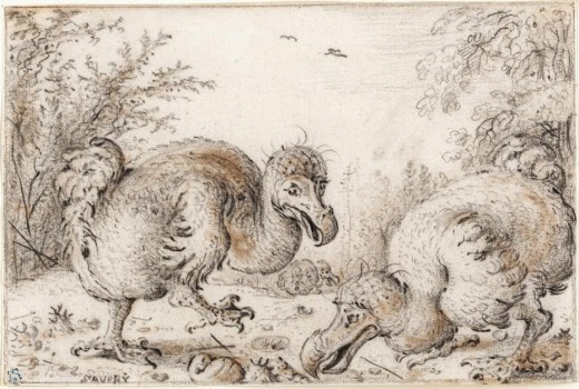 Dodo Birds by Roelant (Roelandt) Savery, public domain