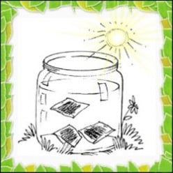 How to Make Sun Tea | Summer Drink Ideas