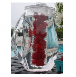  Featured Fruit Infusion pitcher -- 