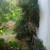 So, you are wondering what you are looking at. This is the honeysuckle that the tumbleweeds decided to decorate (after all, it is Christmas time) Everything in the backyard is overgrown and you can almost see the trailer under the mulberry that refu So, you are wondering what you are looking at. This is the honeysuckle that the tumbleweeds decided to decorate (after all, it is Christmas time) Everything in the backyard is overgrown and you can almost see the trailer under the mulberry that refu
