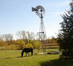 Horses by the windmill
