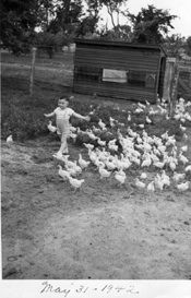 Billie leads the Chickens, May 31, 1942