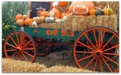 Barn Yard Wagon