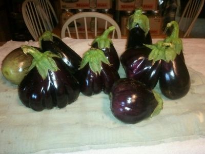 Eggplants can also be frozen