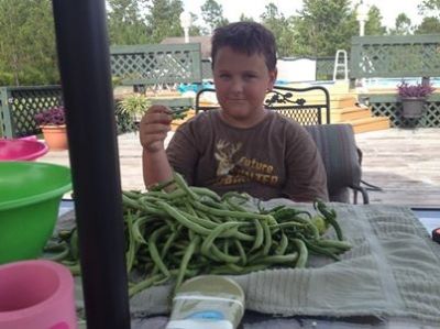 Teach the Kids How to Preserve Food
