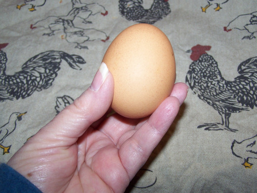 Fresh Egg.