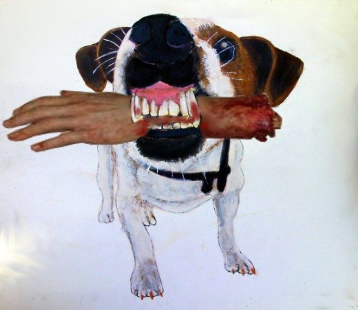 Beware of the dog!