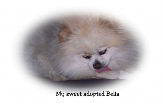 Bella