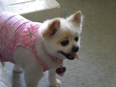 Bella