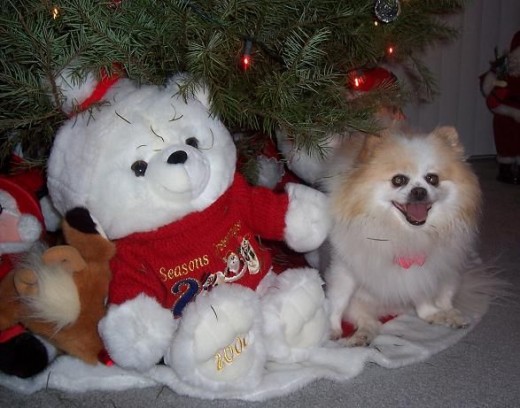 Bella At Christmas (She's The One On The Right!)