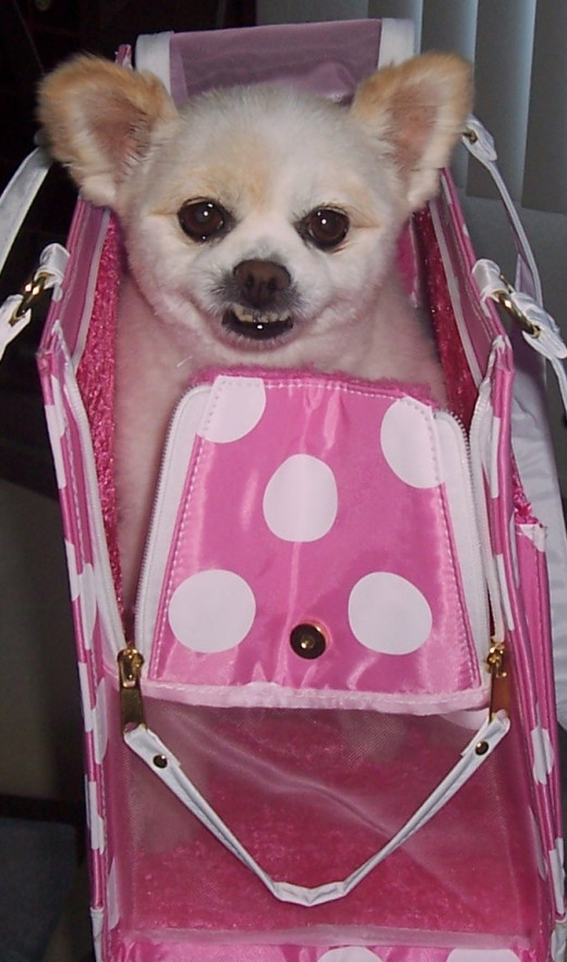 Peek-A-Boo