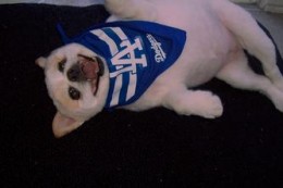 Bella ~ A Dodger Fan! Look at that smile!