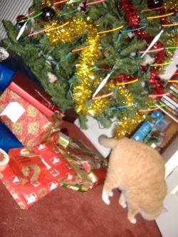 "Now where did they put mine?..."