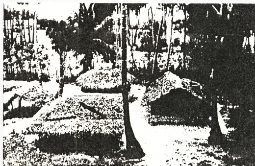 Fig.2 A Village House in Jaffna, Sri Lanka. Note, separate thatched units arranged around an open court.
