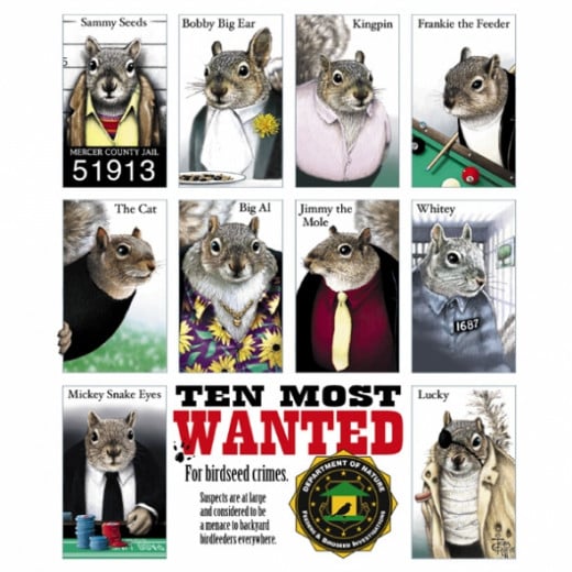 Earth Sun Moon White Squirrel Most Wanted Nature T-Shirt