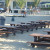 Stop by the beach picnic areas that are shaded and a beautiful place to meet up with family and friends or just take a break from the sun. Stop by the beach picnic areas that are shaded and a beautiful place to meet up with family and friends or just take a break from the sun.