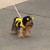 Even the bumble bees are buzzing about the fun Even the bumble bees are buzzing about the fun