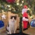 Holiday photos are cuter than ever and you don't even have to remove the flash card to upload them to share with your friends on Facebook. Holiday photos are cuter than ever and you don't even have to remove the flash card to upload them to share with your friends on Facebook.
