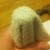 Cover it with a cloth or rag so the hammer doesn't scratch the bottle cap. Cover it with a cloth or rag so the hammer doesn't scratch the bottle cap.