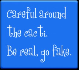 Top Ten Activities for Celebrating Cinco de Mayo in Functional Level