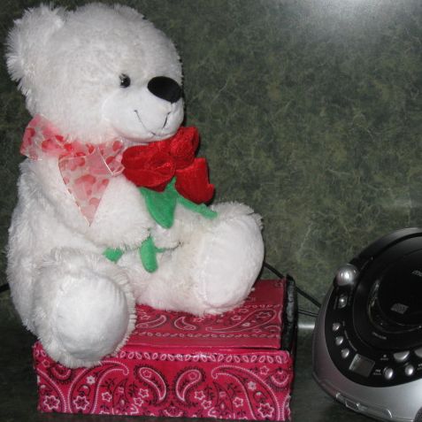 Closed drop boxes are impervious to kitties! Closed drop boxes are impervious to kitties!