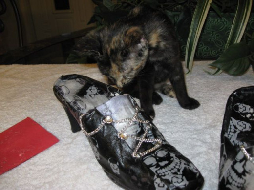 To do the little hang down parts on the sides, just drape the leftover chain at the top of the "lacing" and hot glue it down to the inside. Trim off any excess.  Be sure to have a black cat in training do a quality inspection ;).  Sammie cat here obl