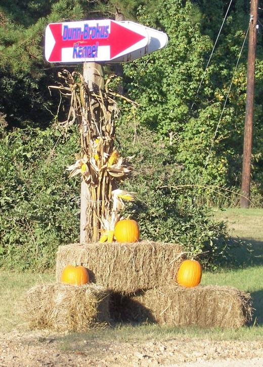Dunn Brokeus Acres In the Majestic state of Mississippi