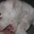 Woof!!! Gr. Play, play, play. Woof!!! Gr. Play, play, play.