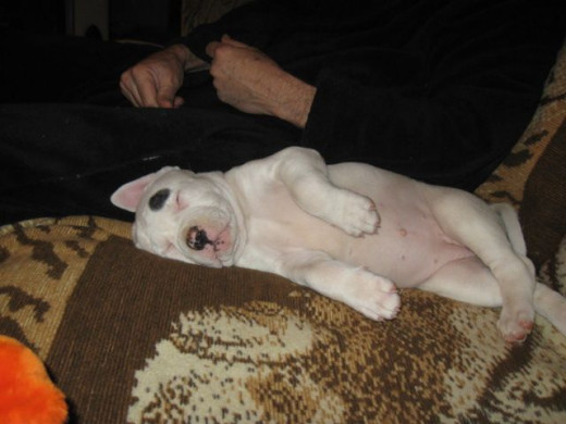 Naps by Daddy.  He says I'm wearing him out.