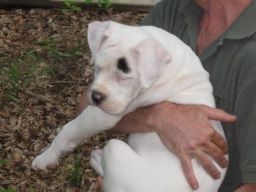 I'm getting so big!