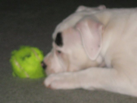 I'll go get it but don't think I'm bringing it back.  Mine!